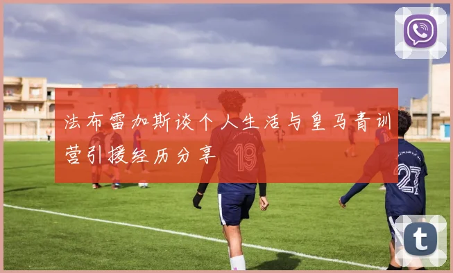 法布雷加斯谈个人生活与皇马青训营引援经历分享